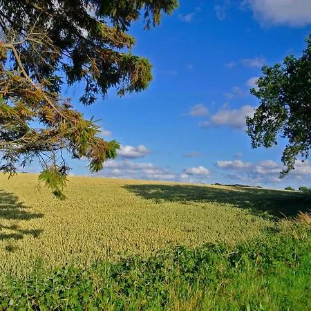 4 Star In Holiday home